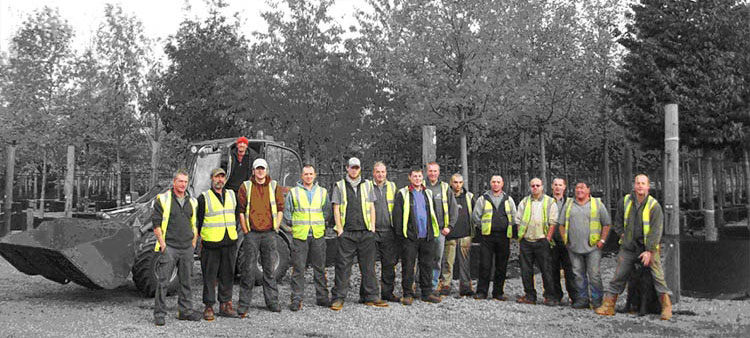 The Deepdale Team