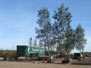 Mature Trees from Deepdale Trees