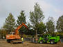Deepdale Trees in action