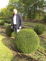 Buxus sempervirens Ball 1.2m